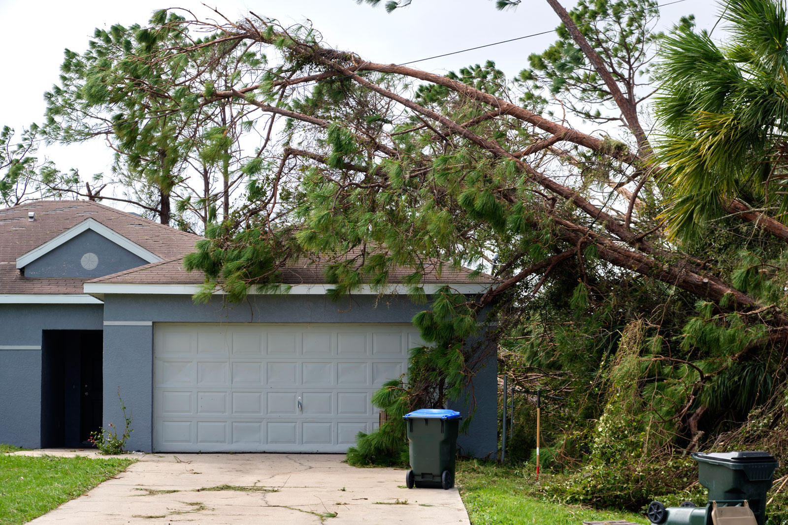 Maximize Your Payout with wind damage insurance claim Experts